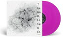 【輸入盤LPレコード】【新品】VA / NOBLE GASES (Colored Vinyl) (Violet)【LP2024/08/09発売】