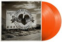 【輸入盤LPレコード】【新品】VA / PETTY COUNTRY: COUNTRY MUSIC CELEBRATION TOM PETTY【LP2024/06...