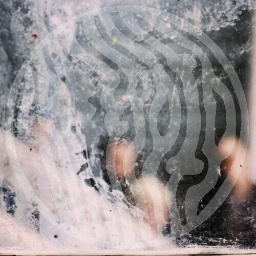 【輸入盤LPレコード】【新品】CREEPOID / CEMETERY HIGHRISE SLUM【LP2025/4/11発売】