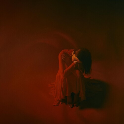 【輸入盤LPレコード】【新品】GHOSTLY KISSES / DARKROOM【LP2024/05/17発売】のサムネイル