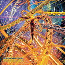 【輸入盤LPレコード】【新品】YOKO KANNO (Soundtrack) / MACROSS PLUS SHARON APPLE (BOX) (Deluxe...