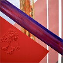 【輸入盤LPレコード】【新品】LUPE FIASCO / TETSO & YOUTH【LP2024/11/01発売】(ルーペ・フィアスコ)