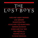 【輸入盤LPレコード】【新品】Soundtrack / LOST BOYS (Blue) (Colored Vinyl) (Limited Edition)【L...