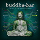 【輸入盤LPレコード】【新品】VA / BUDDHA BAR BY DOLE & KOM & RAVIN (Gatefold LP Jacket)【LP2024...