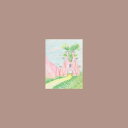 【輸入盤LPレコード】【新品】ACCHIAPPASHPIRT / NINULLA【LP2025/2/7発売】