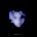 【輸入盤LPレコード】【新品】RICHARD BARBIERI / STRANGER INSIDE【LP2024/11/15発売】