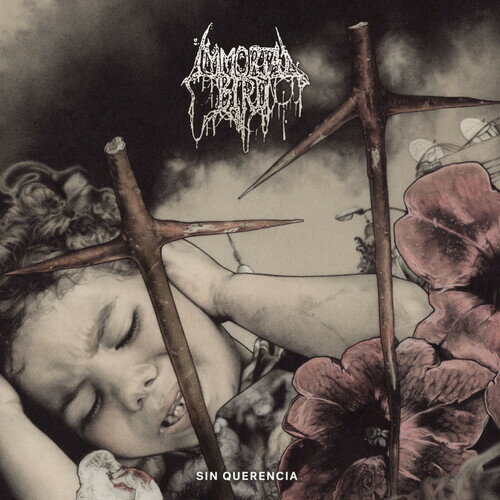 【輸入盤LPレコード】【新品】IMMORTAL BIRD / SIN QUERENCIA (Colored Vinyl) (Limited Edition)【LP2024/10/18発売】