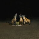【輸入盤LPレコード】【新品】YEARS OF DENIAL / SUICIDE DISCO【LP2024/12/06発売】