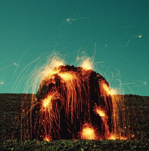 こちらの商品は輸入盤のため、稀にジャケットに多少のスレや角にシワがある場合がございます。2025/3/14 発売輸入盤レーベル：DISCREPANT収録曲：