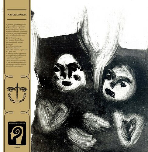 Artist Name: D - 【輸入盤LPレコード】【新品】NATURA MORTA / UN PENSIERO INTRUSIVO【LP2025/5/30発売】