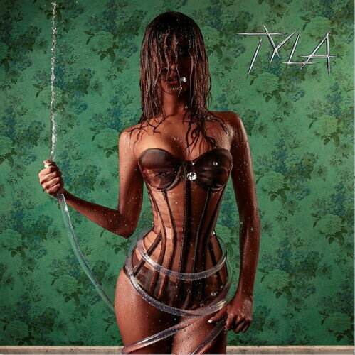 【輸入盤LPレコード】【新品】TYLA / TYLA +【LP2025/2/14発売】