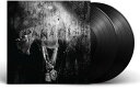 【輸入盤LPレコード】【新品】BIG SEAN / DARK SKY PARADISE (BONUS TRACKS) (Deluxe Edition)【LP20...