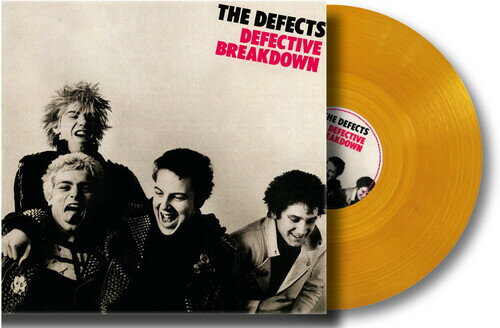 DEFECTS / DEFECTIVE BREAKDOWN