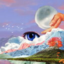 【輸入盤LPレコード】【新品】TURKUAZ / PARADISO (180gram Vinyl)【LP2025/5/23発売】
