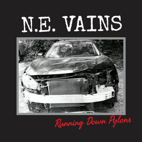 【輸入盤LPレコード】【新品】NE VAINS / RUNNING DOWN PYLONS【LP2025/11/28発売】