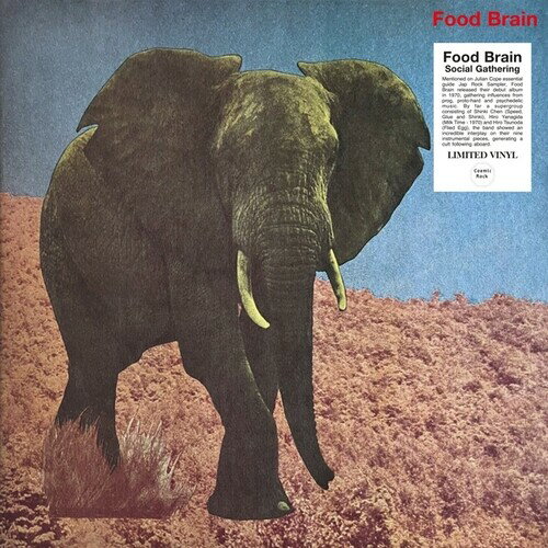 樂天商城 - 【輸入盤LPレコード】【新品】FOOD BRAIN / SOCIAL GATHERING【LP2025/11/7発売】