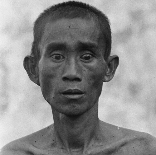 ��͢����LP�쥳���ɡۡڿ��ʡ�HULUBALANG / BUNYI BUNYI TUMBAL��LP2025/10/3ȯ���