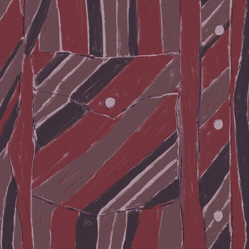 【輸入盤LPレコード】【新品】JAKE XERXES FUSSELL / REBUILDING【LP2025/11/14発売】