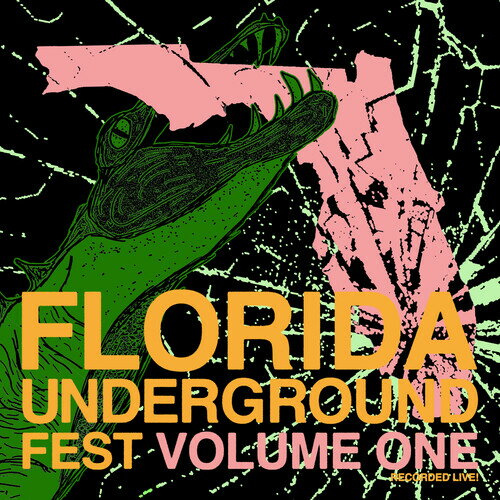 Artist Name: F - 【輸入盤LPレコード】【新品】VA / FLORIDA UNDERGROUND FEST 1【LP2026/3/6発売】