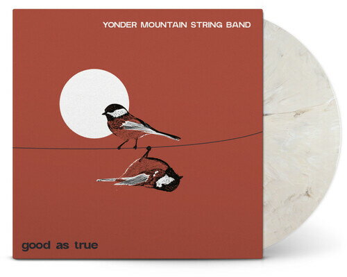 Artist Name: D - 【輸入盤LPレコード】【新品】YONDER MOUNTAIN STRING BAND / GOOD AS TRUE (Colored Vinyl)【LP2026/3/27発売】