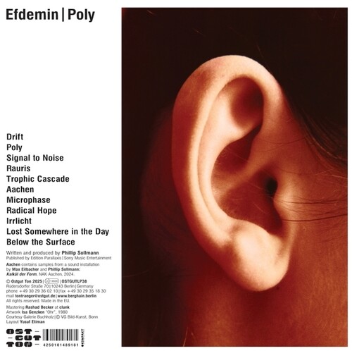 Artist Name: A - 【輸入盤LPレコード】【新品】EFDEMIN / POLY【LP2026/4/3発売】
