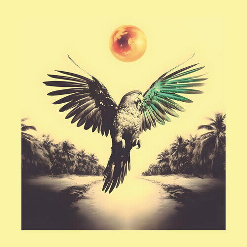 【輸入盤LPレコード】【新品】SAM NOBREGA / PONTA DE DOIS LADOS【LP2024/11/22発売】