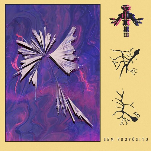 Brii / Sem Proposito