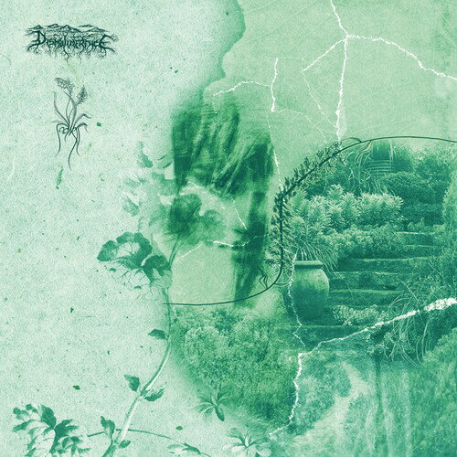 【輸入盤LPレコード】【新品】DISMALIMERENCE & SADNESS / RESPLENDENCE【LP2024/05/03発売】