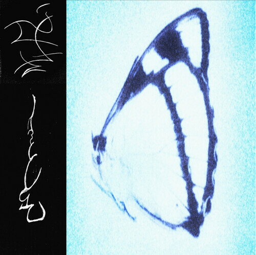 Rock, Pop - 【輸入盤LPレコード】【新品】TRHA / INAGAPE【LP2024/09/06発売】