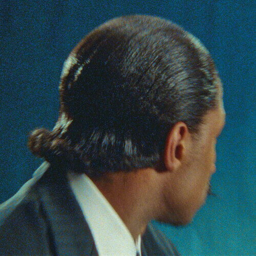 Artist Name: W - 【輸入盤LPレコード】【新品】ZELOOPERZ / DALI AIN'T DEAD【LP2026/4/3発売】