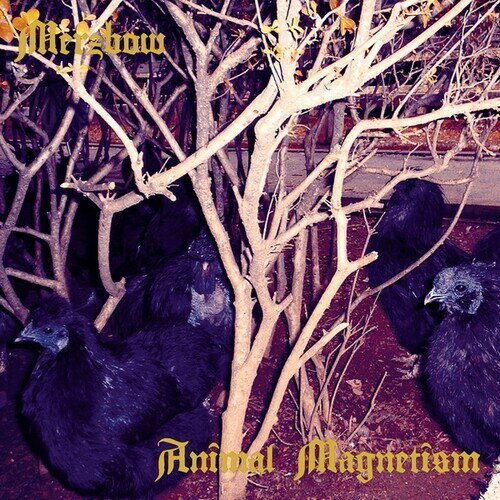 【輸入盤LPレコード】【新品】MERZBOW / ANIMAL MAGNETISM【LP2026/2/27発売】