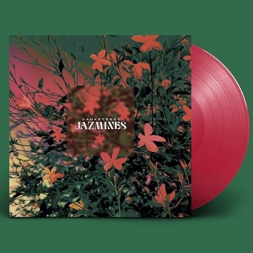 CANASTEREO / JAZMINES