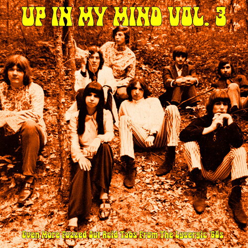 VA / UP IN MY MIND VOL. 3: Even More Fuzzed Out Acid Tabs From The Lysergic '60S