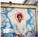 【輸入盤LPレコード】【新品】Toro Y Moi / What For (Digital Download Card)