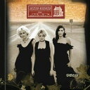 【輸入盤LPレコード】Dixie Chicks / Home (Gatefold LP Jacket)【LP2016/4/15発売】(ディクシー チックス)