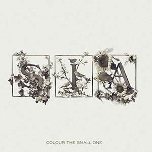 【輸入盤LPレコード】Sia / Colour The Small One(シーア)