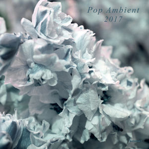 【輸入盤LPレコード】VA / Pop Ambient 2017【LP2016/11/25発売】