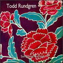 【輸入盤CD】【ネコポス送料無料】Todd Rundgren / Something/Anything? (トッド・ラングレン) - あめりかん・ぱい