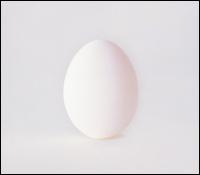 【Rock／Pops：ウ】ウィルコWilco / A Ghost Is Born (CD) (Aポイント付)