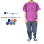 CHAMPION ԥ REVERSEWEAVE Tee С Ⱦµ ̵ 39å C3-P318