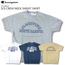 Champion short sleeve crew neck sweat shirt チャンピオン ショートスリーブ クルーネック スウェット シャツ