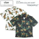 ciao S/S OPEN COLLAR SHIRT PINEAPPLE `I  J Vc pCibv