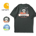 Carhartt S/S Pocket Dog Graphi