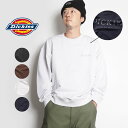 Dickies 裏毛 バックプリント トレーナー メンズ レディース ユニセックス 男女兼用 長袖 スウェット クルーネック ストリート 34786434 23S