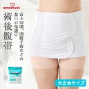 腹帯 マジックテープ式 大きめサイズ アメジスト | 伸縮腹帯 マジックタイプ 腹帯 帝王切開 術後腹帯 手術 後 伸縮 ストマ マジックテープ 腹帯 薄手 簡単 さらし 男性 女性 ウエスト ニッパー 男女兼用 大衛 送料無料 ※ネコポス対応3