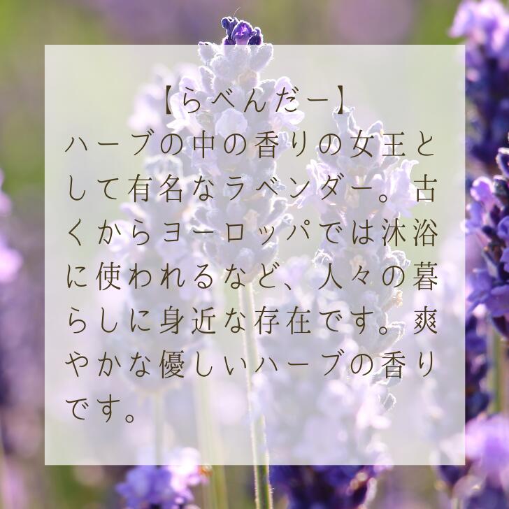 お香 りらく らべんだー (15本入) 全18種類 大香 癒しの香り プチギフト お盆 仏前 お線香 ご進物