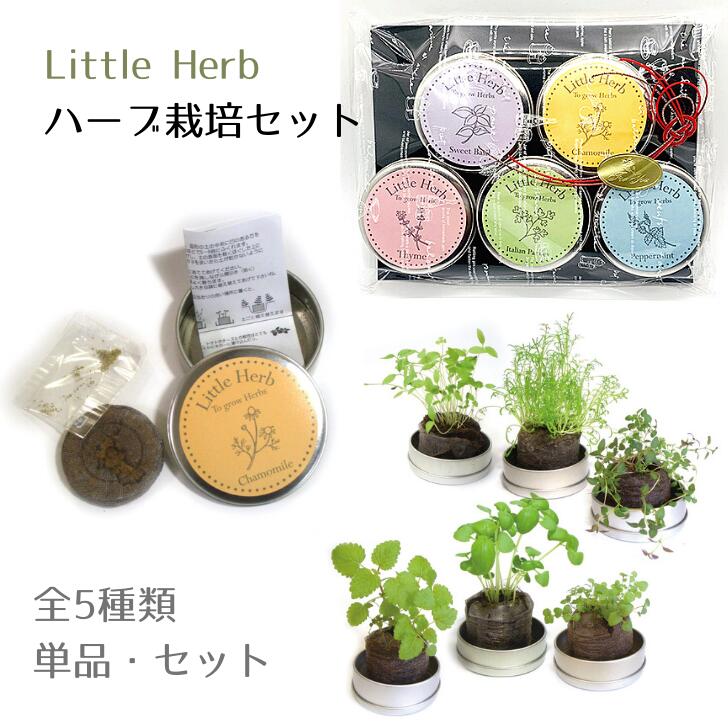 リトルハーブ【小缶・ハーブ栽培セット】Little Herb インテリアグリーンロハス お家時間 家庭菜園 ハーブ 自給自足 お年賀 ギフト スイートバジル/ペパーミント/イタリアンパセリ/カモミール/タイム