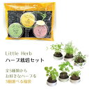 リトルハーブ【選べる福袋】3個セット【送料無料】【小缶・ハーブ栽培セット】Little Herb イ ...