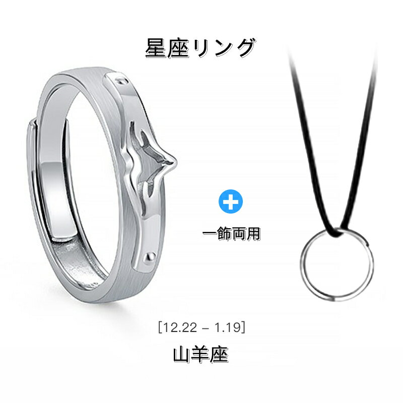 シルバー925 リング 指輪 山羊座 やぎ座 フリーサイズ 調整可能な指輪 男女兼用 星座指輪 星座リング 相手のサイズが分からない時、サプライズで渡したい時にも便利