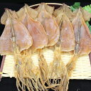 するめ 乾物 おつまみ 保存食 だし 海鮮 珍味 5枚で約130g前後 同梱ならこちら【スルメ いか】
